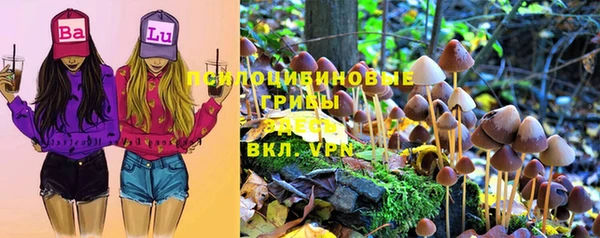 круглые Алзамай