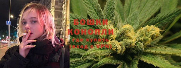 индика Нея