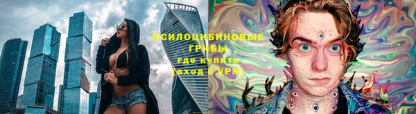 круглые Алзамай